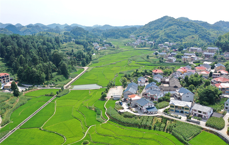 “美丽云乡村”产业振兴基地介绍